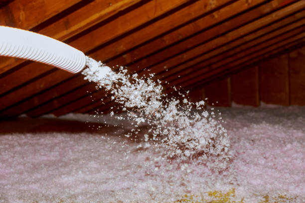 Best Residential Insulation in Susan Moore, AL
