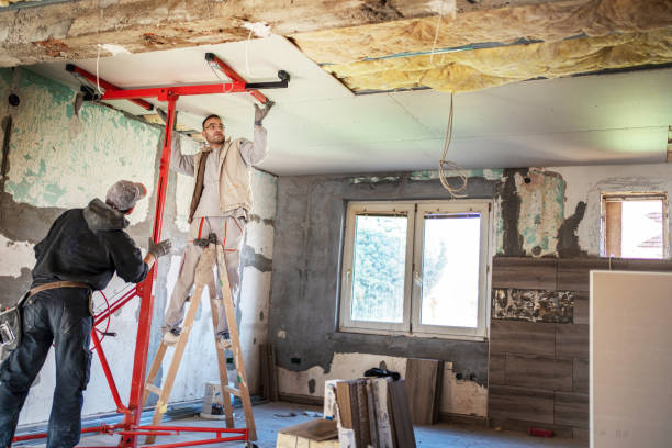 Best Specialty Insulation in Susan Moore, AL
