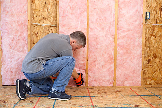 Best Types of Insulation in Susan Moore, AL
