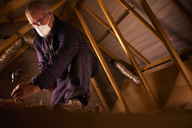 Trusted AL Insulation Contractor Experts